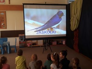 Grupa dzieci siedzących na dywanie i oglądających na ekranie ptaka-jaskółkę..