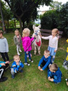 Grupa dzieci będąca w ogrodzie przedszkolnym z alpaką.