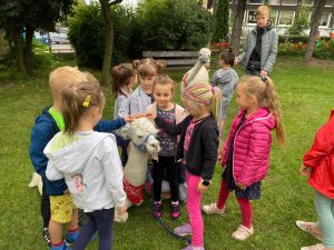 Dziewięcioro dzieci stojących w ogrodzie przedszkolnym. Na pierwszym planie, pomiędzy dziećmi leży alpaka. W tle stoi chłopiec i starszy chłopak trzymający alpakę