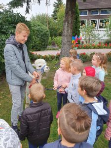 Dziewięcioro dzieci będących w ogrodzie przedszkolny. Przed dziećmi stoi chłopak i alpaka.