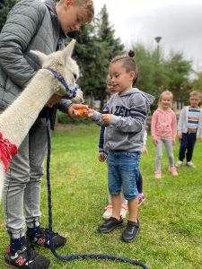 Chłopiec karmiący alpakę marchewką. Za chłopcem stoi troje dzieci. Alpakę trzyma chłopak.