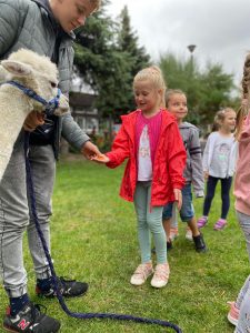 Dziewczynka karmiąca marchewką alpakę, którą trzyma chłopak. za dziewczynką stoi chłopiec i dziewczynka.