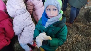 Chłopiec w zielonej kurtce i szarej czapce trzyma na ręce małego, żółtego kurczaczka.