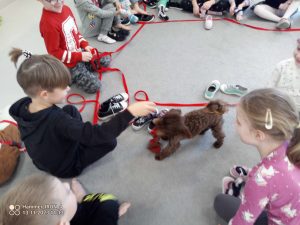 Dzieci siedzą na szarym dywanie w kole. Pomiędzy nimi chodzi brązowy pies.
