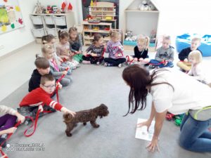 Dzieci siedzą na szarym dywanie w kole. Pomiędzy nimi chodzi brązowy pies.