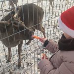 Dziecko karmi jelonka marchewką.