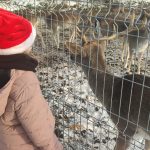 Dzieci w scenerii zimowej ubrani w kurtki patrzą na stado jelonków.