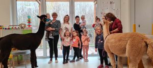 Cała grupa uśmiechniętych dzieci z opiekunami stoi w towarzystwie dwóch alpak.