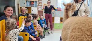 Dzieci siedzą na krzesełkach i obserwują alpaki.