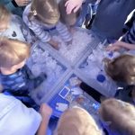 Dzieci dotykają różnych struktur