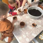 Dzieci siedzą przy stoliczku. Z pomocą nauczyciela wsypują ziemię do małych doniczek i sadzą cebulki.