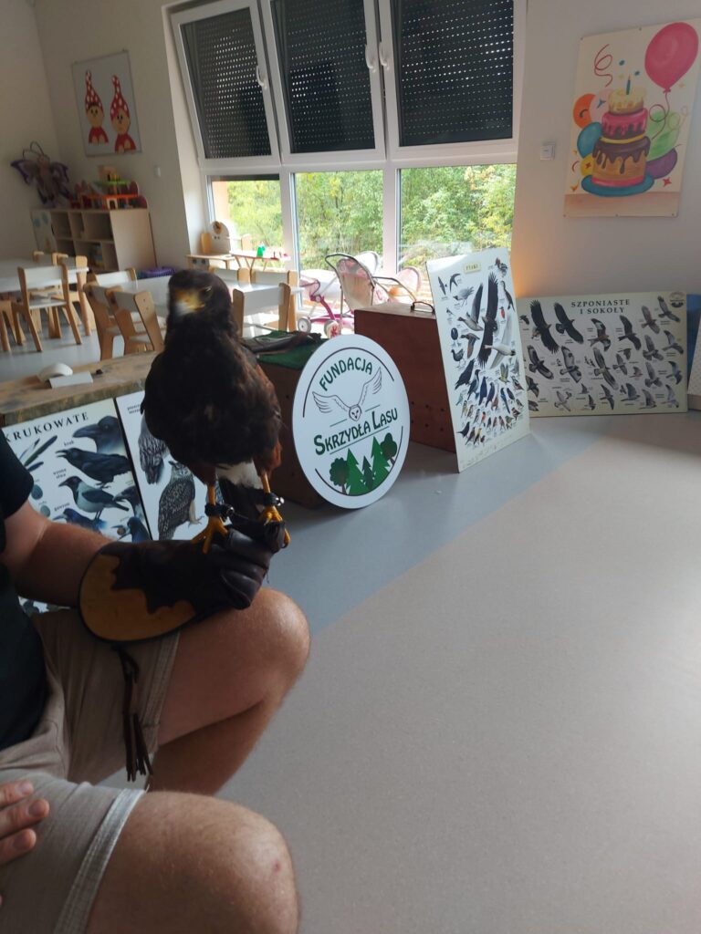 mężczyzna trzyma myszołowa z tyłu logo firmy