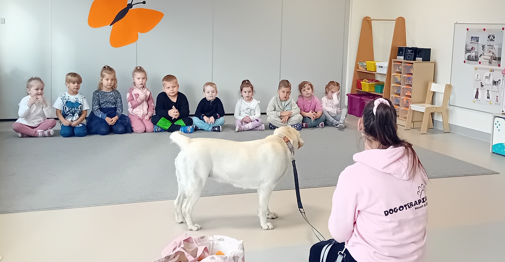 DOGOTERAPIA W GRUPIE MOTYLKI