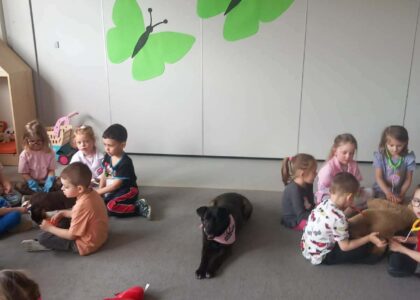 DOGOTERAPIA W GRUPIE MOTYLKI