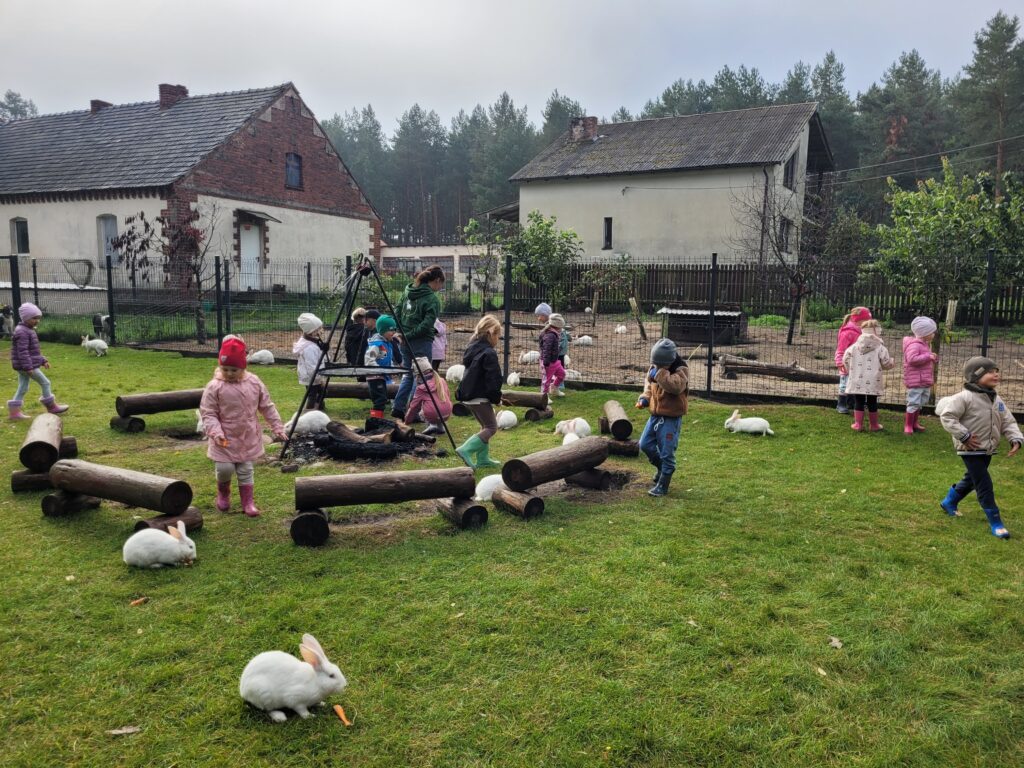 Dzieci biegają po łące i karmią króliki